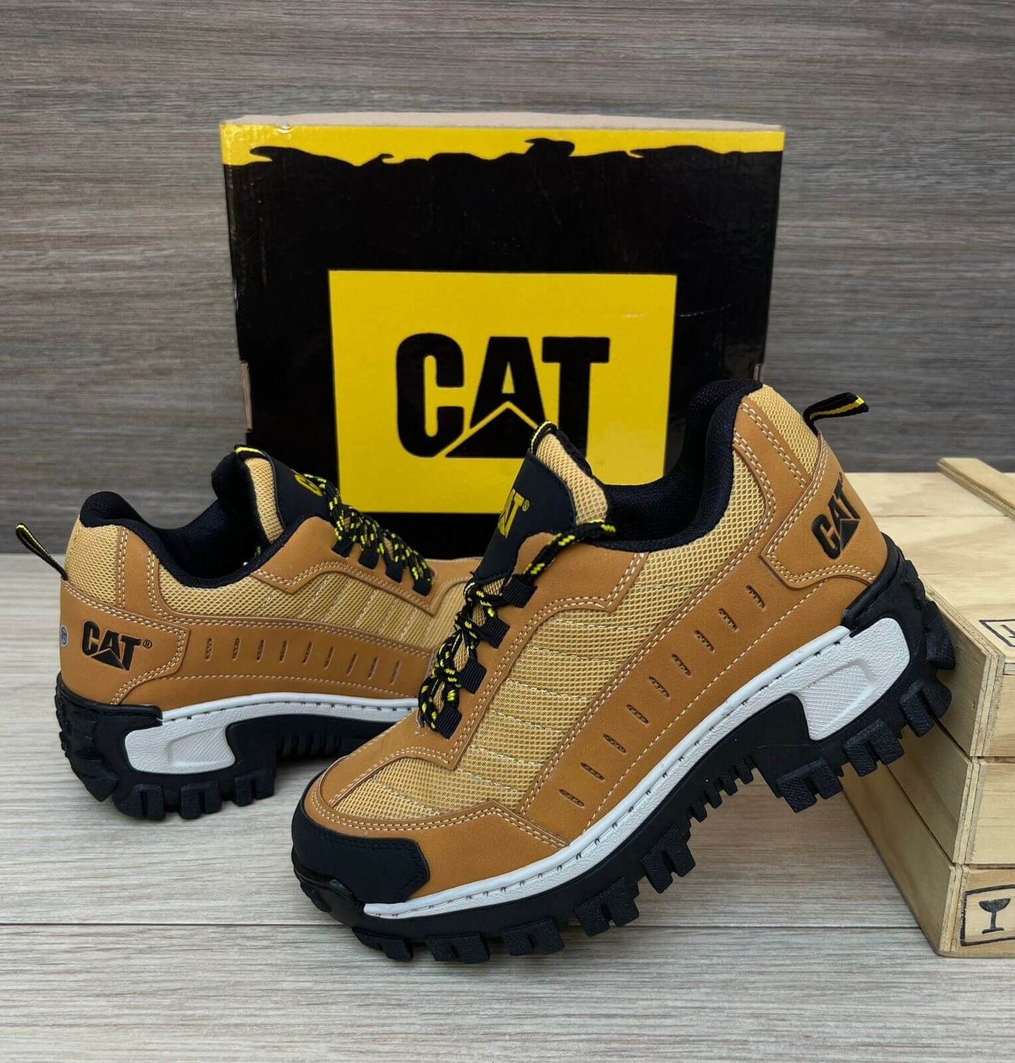 Colección CAT Intruder