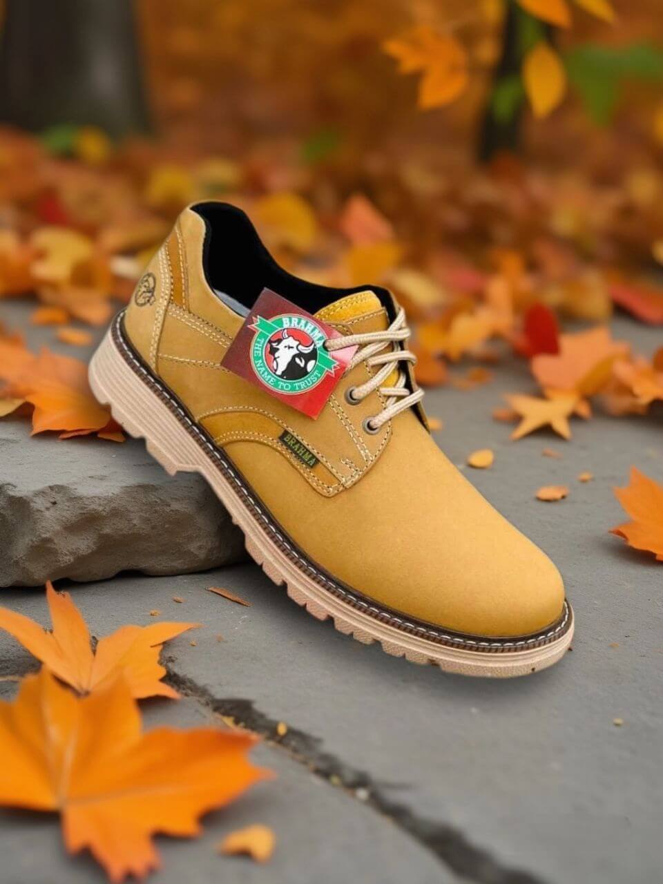 Zapato Brahma Cord: Elegancia y Distinción