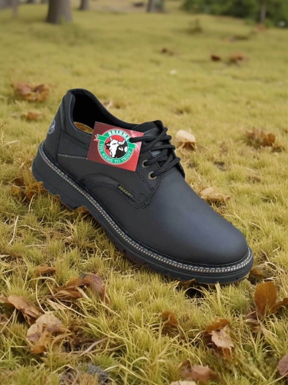 Zapato Brahma Cord: Elegancia y Distinción