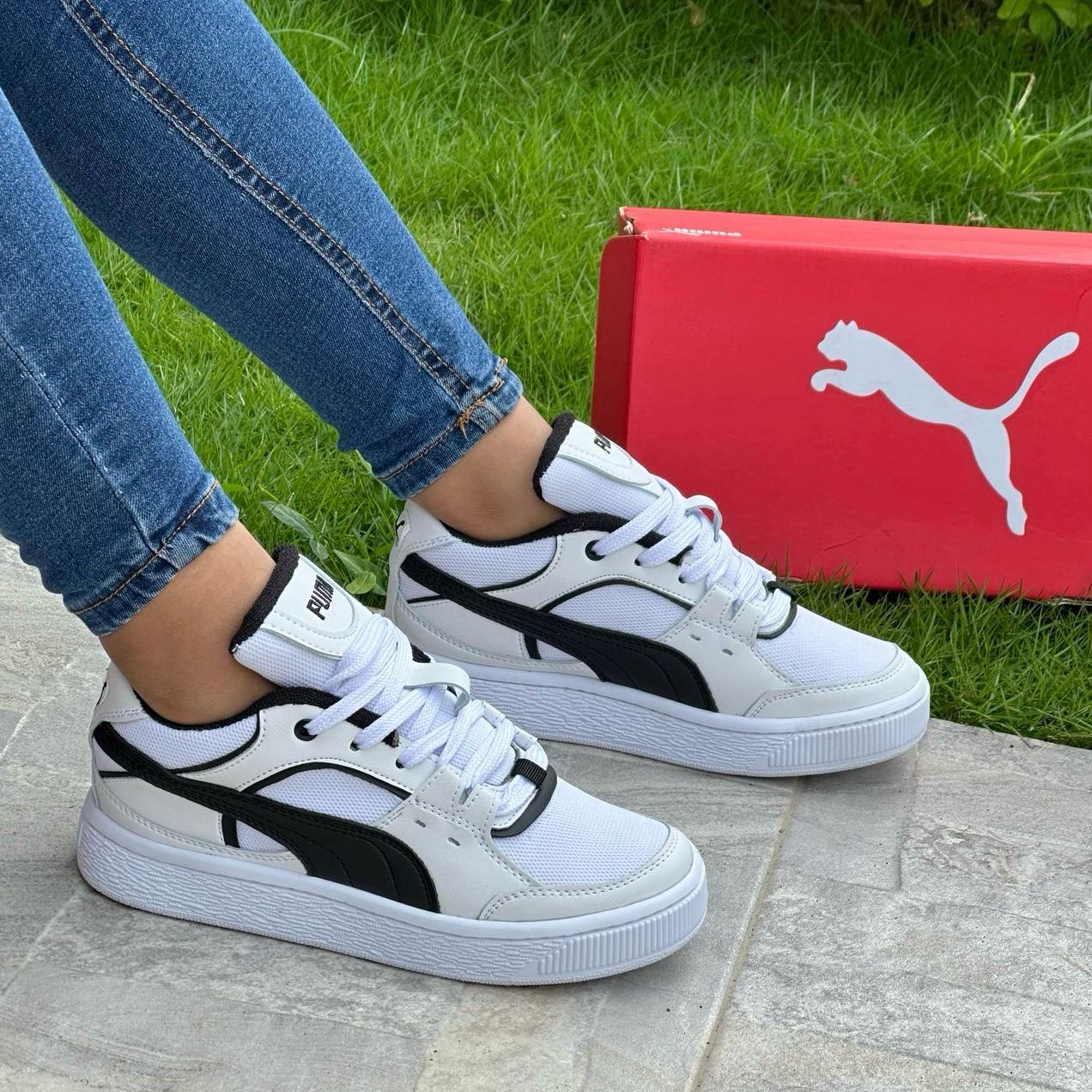 Puma Linea